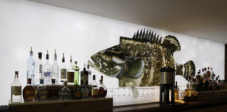 Letter from North America Florida Keys Travel