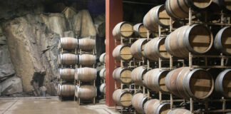 Valle de Guadalupe, Baja Mexico