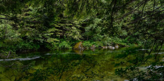 Wildly Luxurious CLAYOQUOT WILDERNESS RETREAT Clayoquot Andrew Innerarity Swanky Retreats