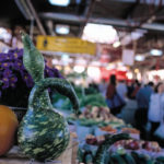 squash