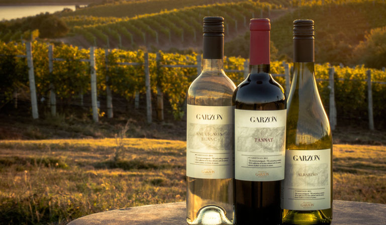 Swanky Sips – Uruguay’s Bodega Garzon