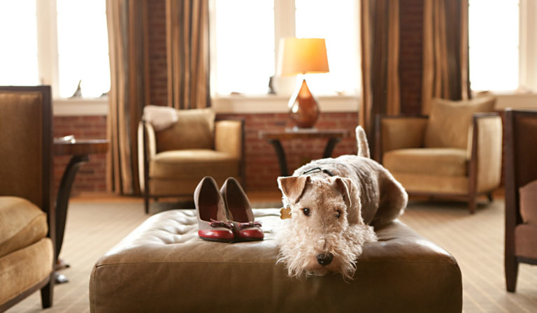Craddock Terry Hotel – Lynchburg, Virginia