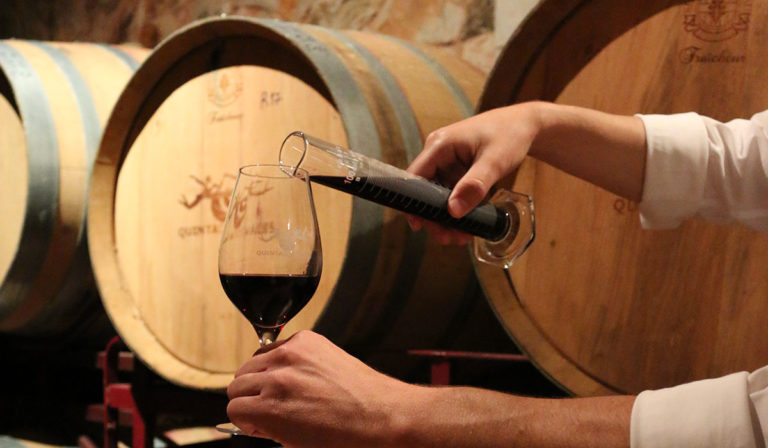 Wine in the Algarve Winemaker Experience