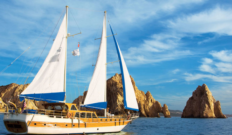 Letter from The Baja California Penninsula – Los Cabos, Mexico