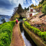 Levada do Norte2©NelsonBarros