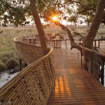 Sandibe Okavango Safari Lodge 6