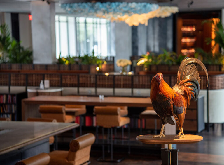 Gastronomic Gallivants – Indulge in the Bay