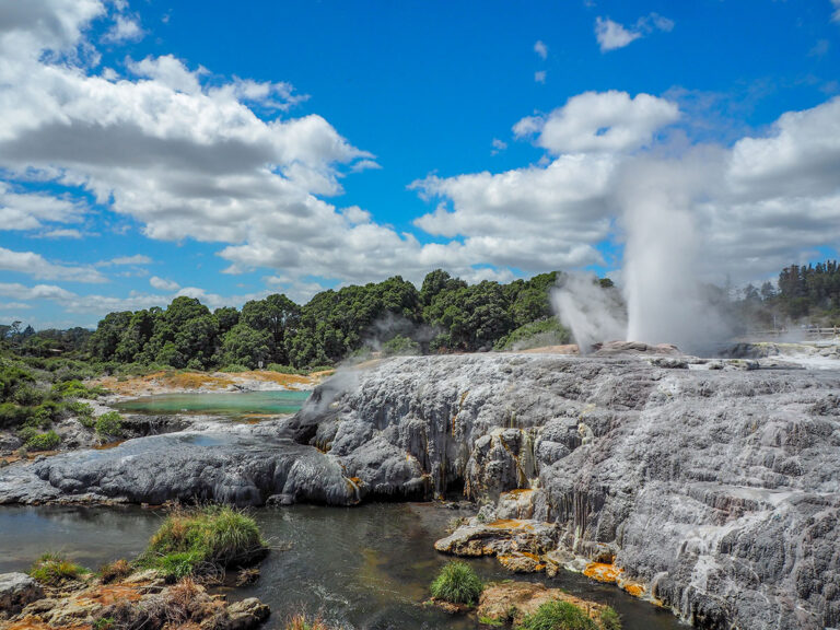 Maori New Zealand Geyser