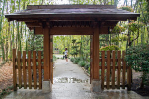 PB 5 Japanese garden