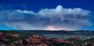 Giddy up… Reflecting on Red Reflet