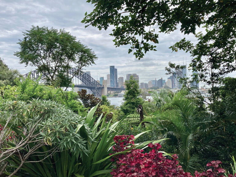 A Letter From… Sydney