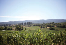 Winery Rundown – Mendocino’s wine scene is intoxicating