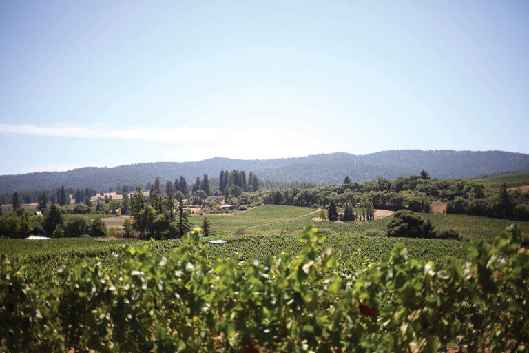 Winery Rundown – Mendocino’s wine scene is intoxicating
