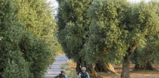 NEW Chef-Led Culinary Cycling Tour of Sicily Announced by Tourissimo