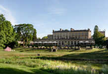 Whispers of Wellness