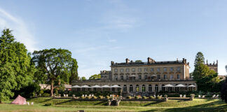 Whispers of Wellness