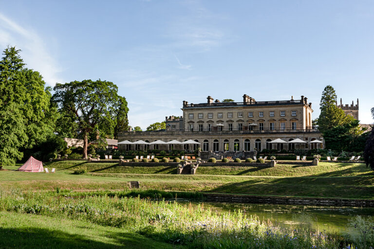 Whispers of Wellness