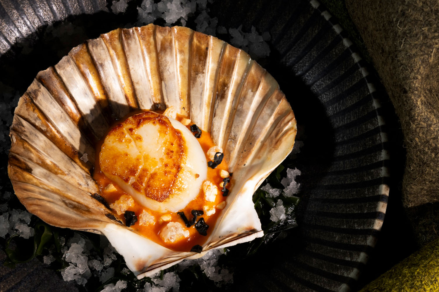 Gilpin Spice - Scallop