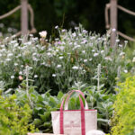 Cashel_Palace_Merc_2025-9596