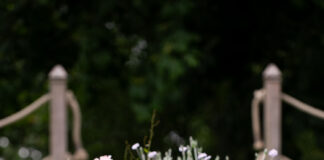 Wellness Blooms at Cashel Palace