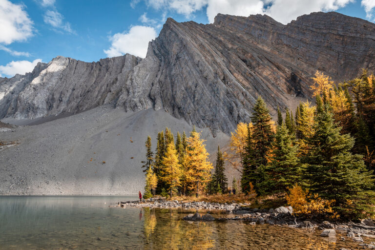 Peaks, Pines and Wildlife